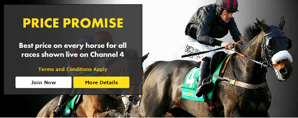 Bet365 Horse Racing Odds